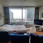 Zeezicht Oostende